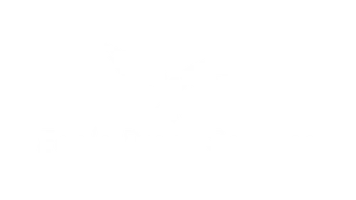 Eagle Drone Services