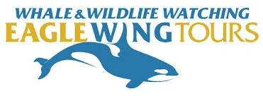 Eagle Wing Whale & Wildlife Tours