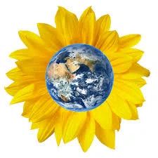 Earthrays Rentals