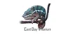 East Bay Vivarium