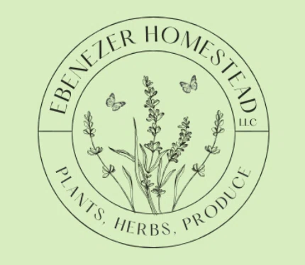 Ebenezer Homestead