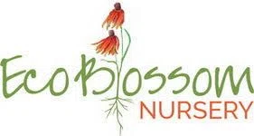 Eco Blossom Nursery