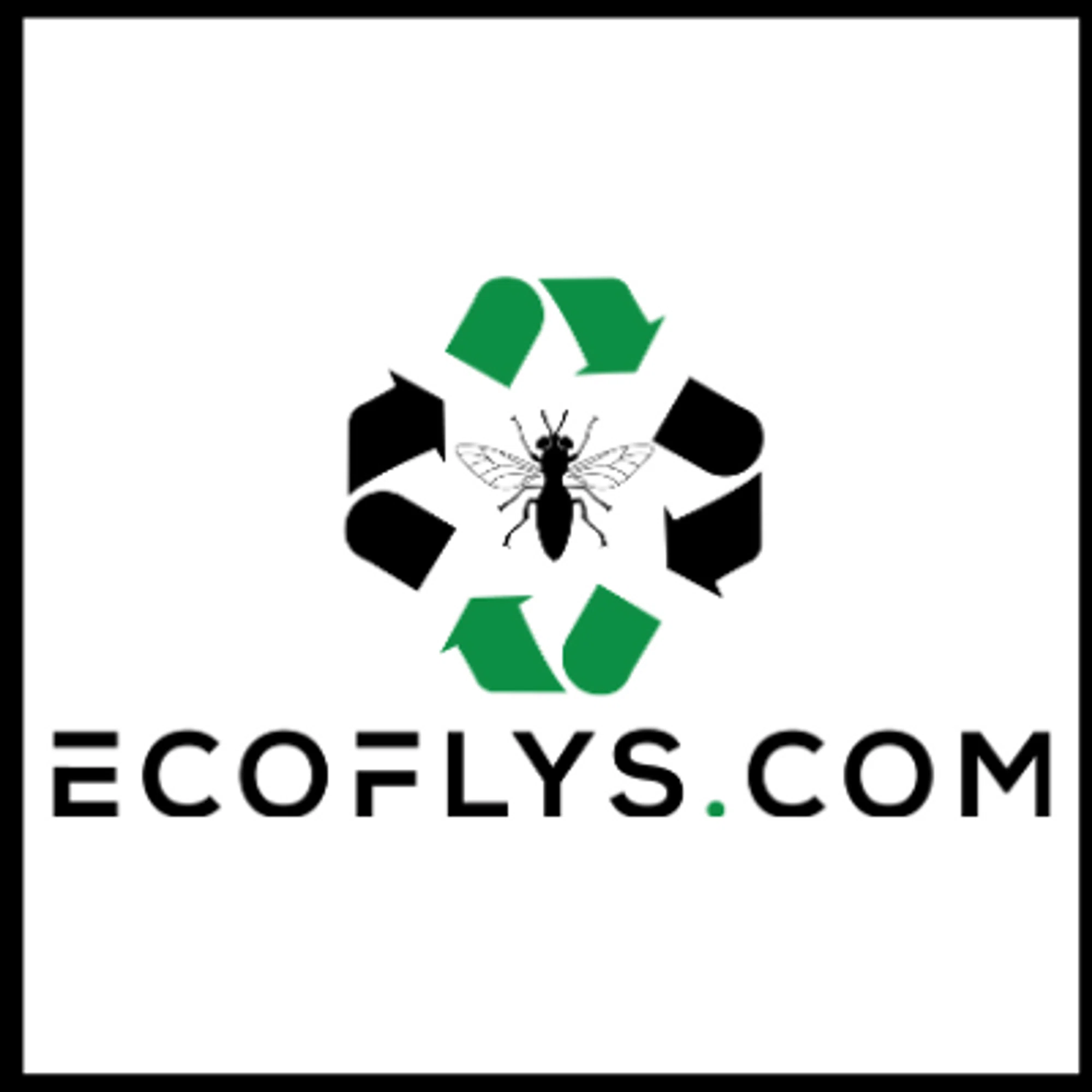 Ecoflys.com