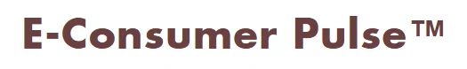 E-Consumer Pulse