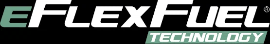 eFlexFuel