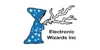 Electronic Wizards