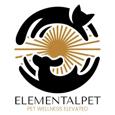 Elemental Pet