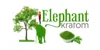 Elephant Kratom