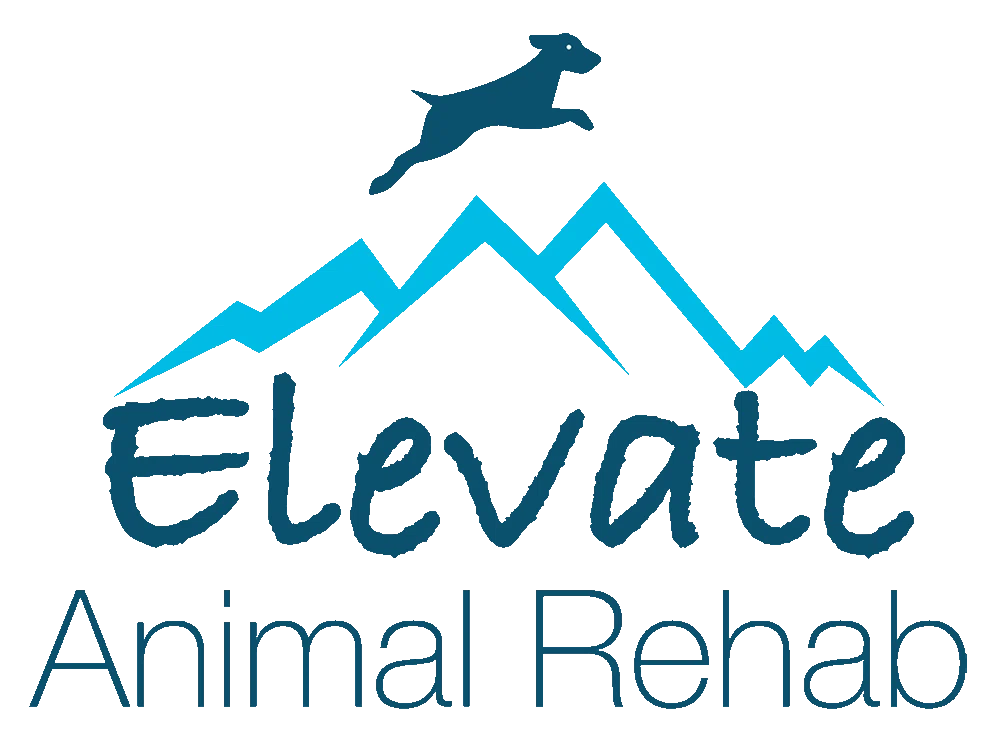 Elevate Animal Rehab