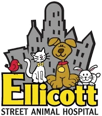 Ellicott Street Animal Hospital