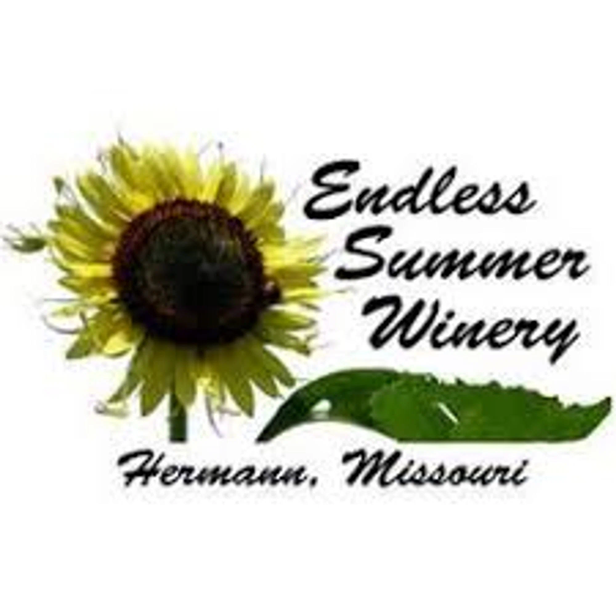 Endless Summer Vehicle Care