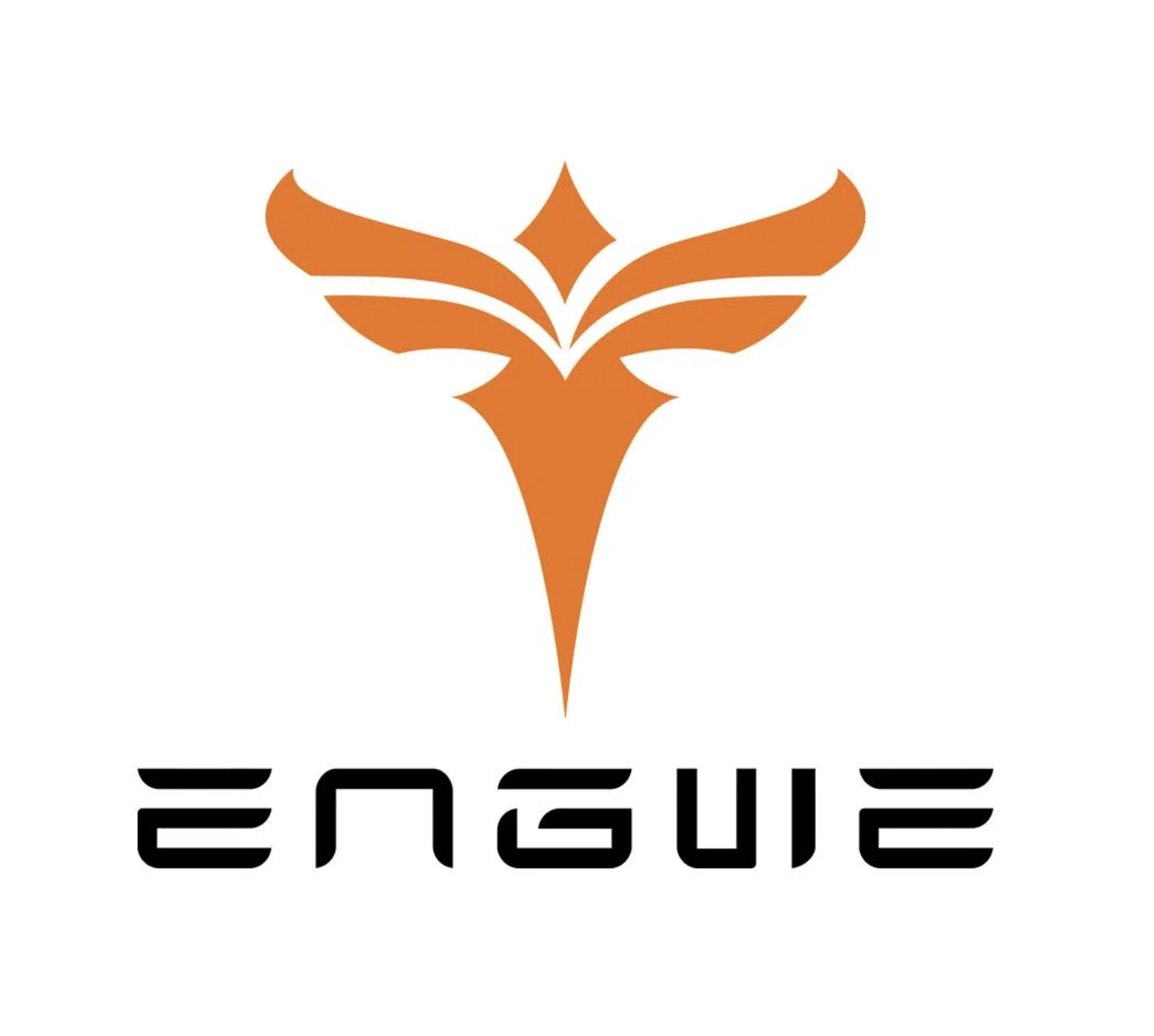 Engwe Bikes UK Promo Codes