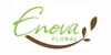 enovafloral