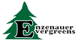 Enzenauer Evergreens