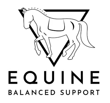 Equine Balance Support
