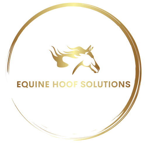 Equine Hoof Solutions