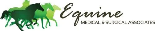 Equine Medical and Surgical Associates