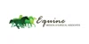 Equine Medical and Surgical Associates