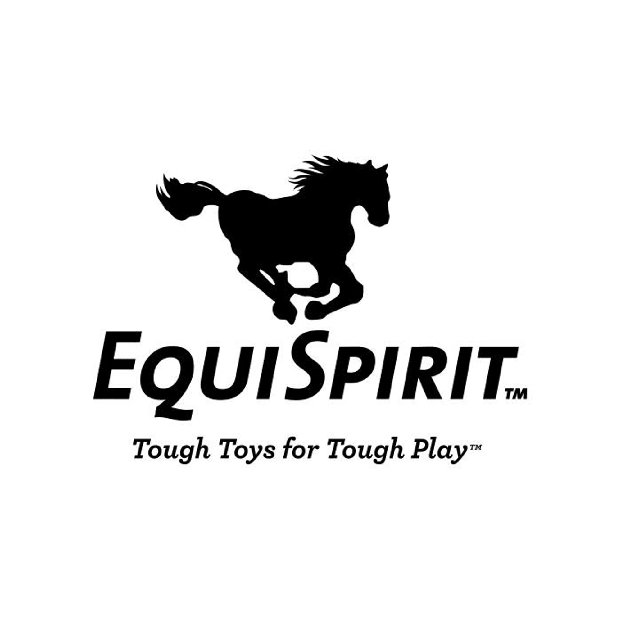 EquiSpirit