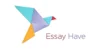 Essay Have