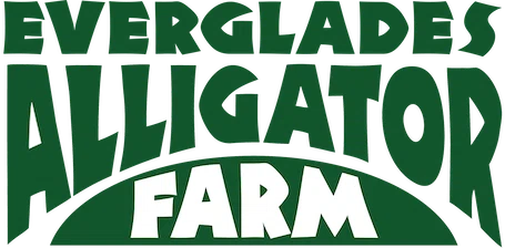 Everglades Alligator Farm