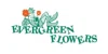 Evergreen Flowers