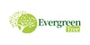 The Evergreen Tree