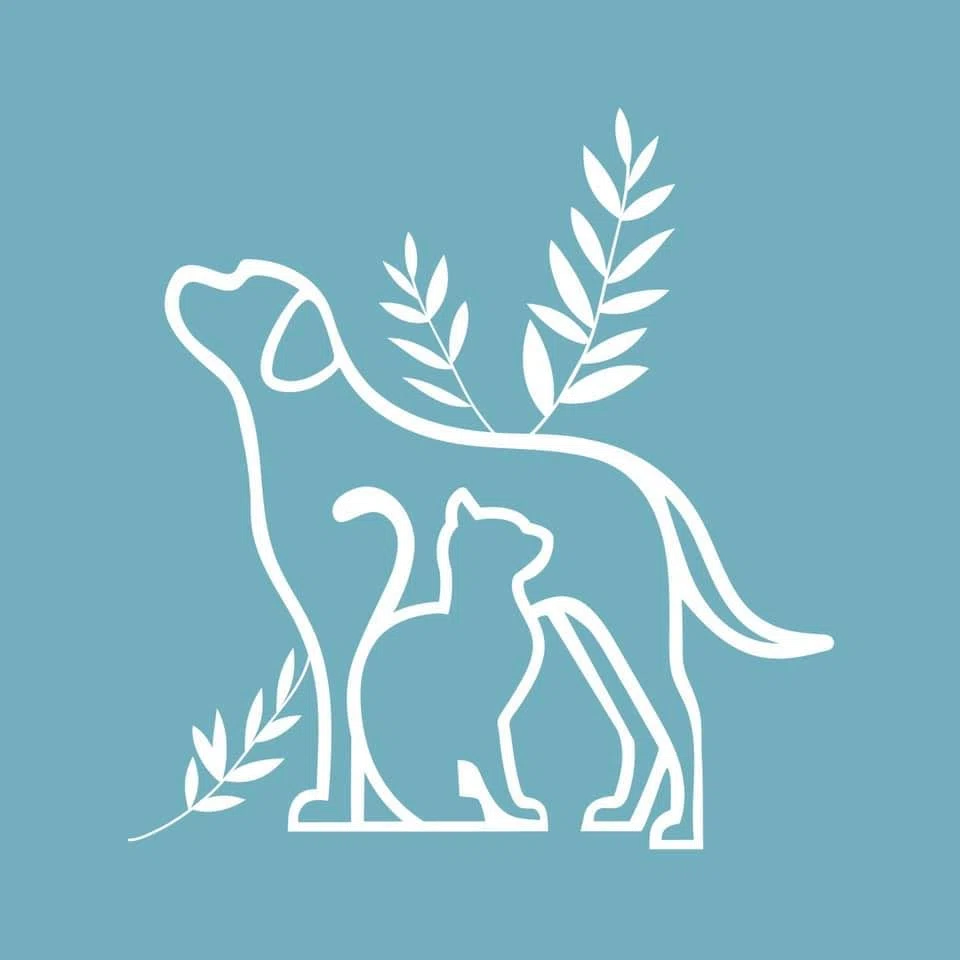 Evergreen Veterinary Care