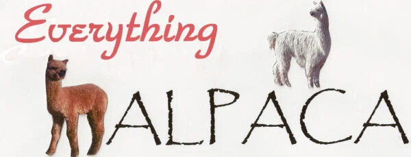 Everything Alpaca