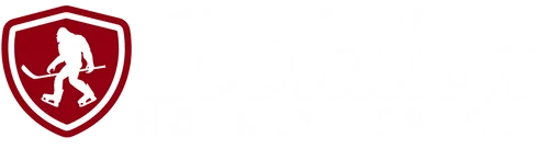 Evolution Hockey