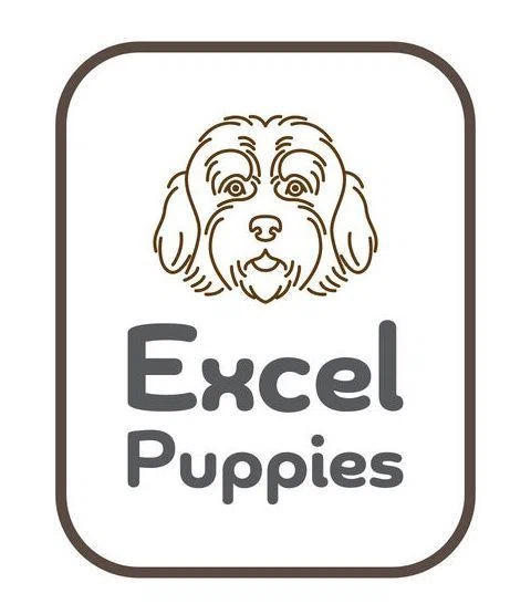 Excel Puppies