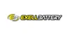 Exell Battery