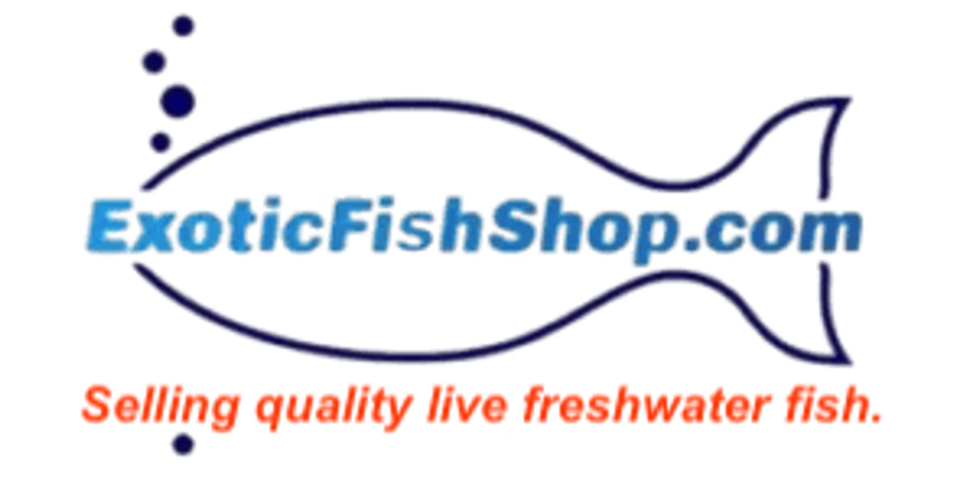 Exotic Fish Shop