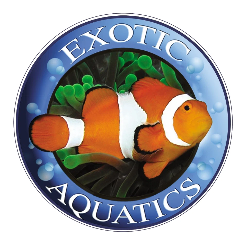Exotic Aquatics