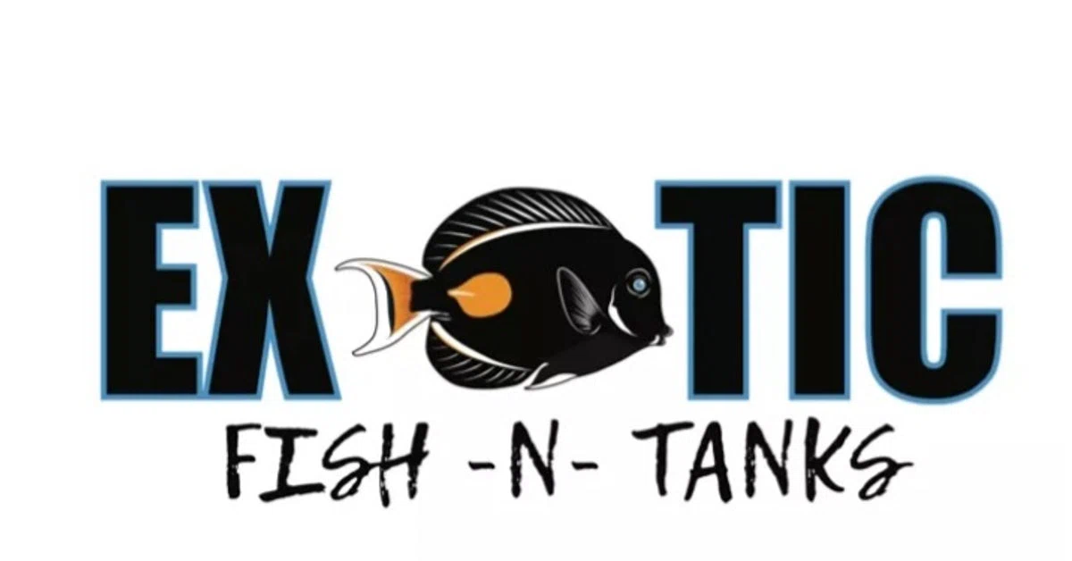 Exotic Fish -N- Tanks
