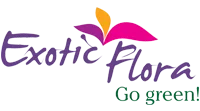 Exotic Flora