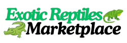 Exotic Reptiles Marketplace