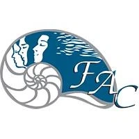 Facial Aesthetic Concepts