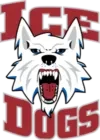 Fairbanks Ice Dogs