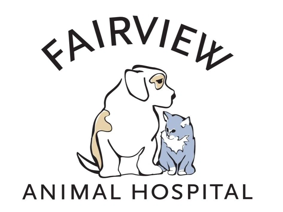 Fairview Animal Hospital