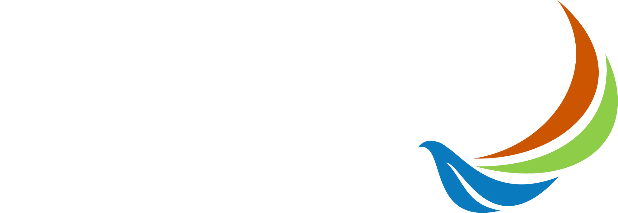 Fairway 54