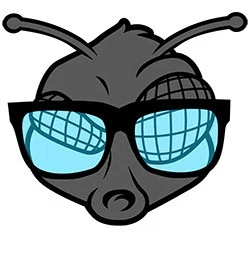 Fashionably Fly Clothing