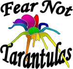 Fear Not Tarantulas