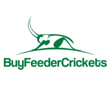 BuyFeederCrickets