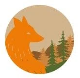 Feisty Fox Creations