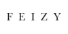 Feizy Rugs