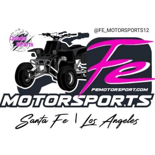 Fe-Motorsport