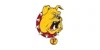 Ferris State Bulldogs