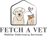 Fetch A Vet