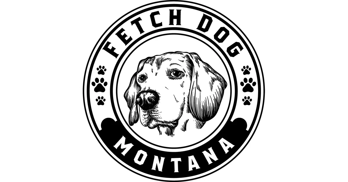 Fetch Dog